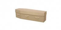 Plain Cardboard Coffin